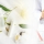 La vérité sur les produits cosmétiques et les parabens