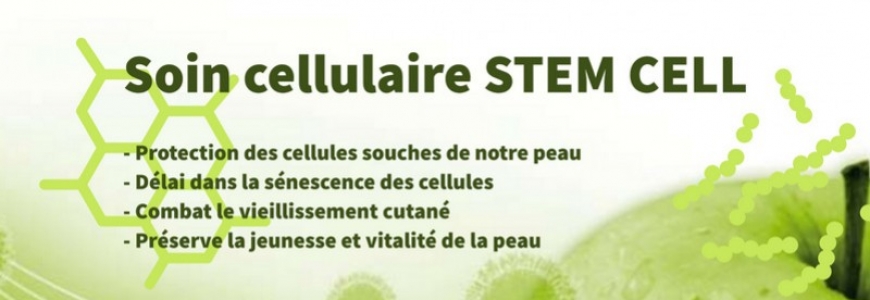 Cellules souches en cosmétique (STEM cell génifique)